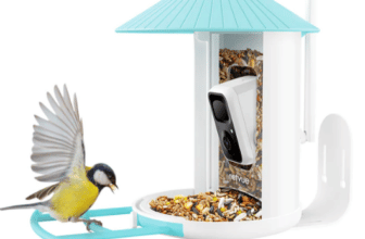 10% Off Birdfy Cam – Coupon Code