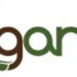 Organifi 35% Off – Select Items